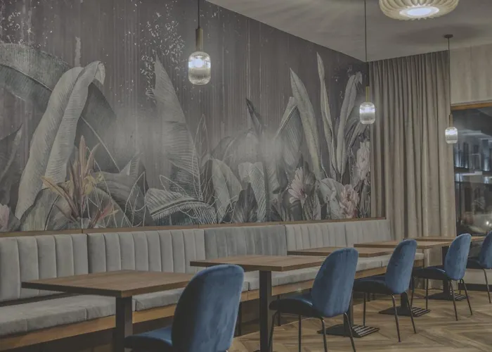 Sudecki 卡尔帕奇